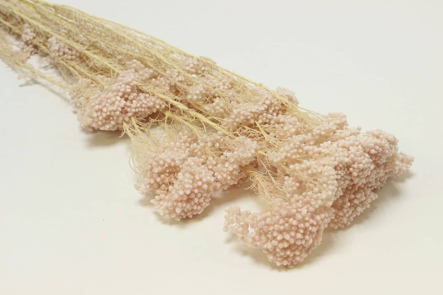 Сухоцвет "Рисовый цветок "Диосми" высота 60-70 см, 3-5 веток/упак, 80 гр, Выбеленный св.розовый